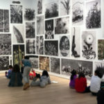 Gallery School participants record their thoughts and sketch in journals while exploring the exhibition Batia Suter: Parallel Encyclopedia Extended, photo: Anita Bonnarens, 2018